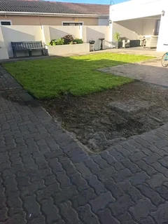 Supply and installa Lm Berea grass