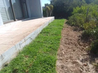 Supply and installa Lm Berea grass