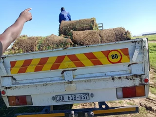 Roll on lawn Kikuyu grass