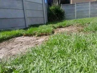 Delivery and installation off national green grass