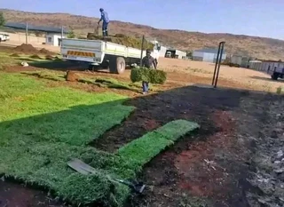 Delivery  and installa buffalo grass and Kikuyu grass. ,0672707801