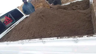 Delivery  and installa buffalo grass and Kikuyu grass. ,0672707801