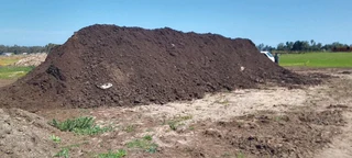 Delivery  and installa buffalo grass and Kikuyu grass. ,0672707801