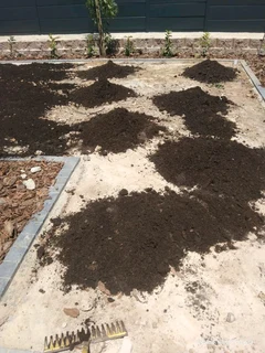 We do sell roll on lawn green and fresh