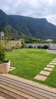 Roll on lawn Lm Berea grass