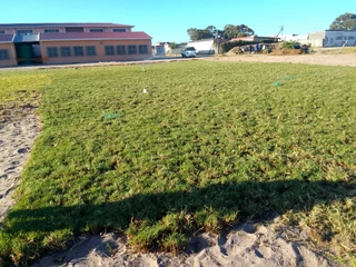 Roll on lawn Lm Berea grass