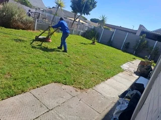 Roll on lawn national grass green and fresh. 0672707801