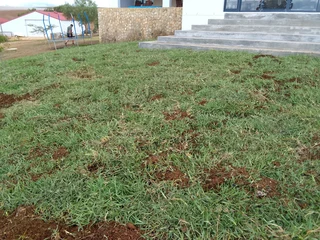 Lawn fresh 100% national grass