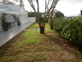 Lawn fresh 100% national grass