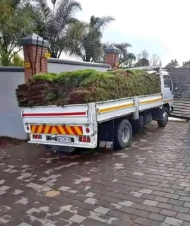 Now we do have stock of Lm Berea grass and buffalo grass