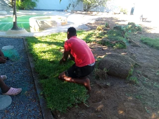 Now we do have stock of Lm Berea grass and buffalo grass