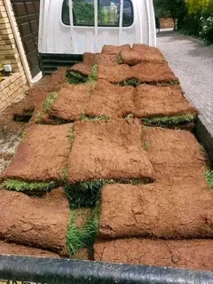 Roll on lawn Kikuyu grass