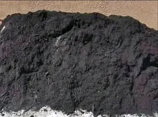 Roll on lawn Kikuyu grass