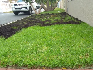 Roll on lawn Kikuyu grass