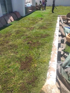 We do supply and installa buffalo grass and Kikuyu grass