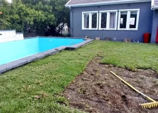 Roll on lawn Lm Berea grass and top soil weed free