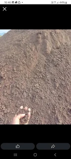 Roll on lawn 100% weed free