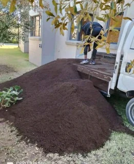 Roll on lawn 100% weed free