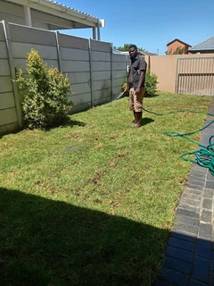 Delivery and installa buffalo grass