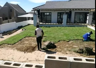 Delivery and installa buffalo grass