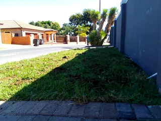 Delivery and installation Kikuyu grass and compost weed free