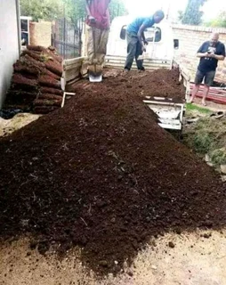 Delivery and installation Kikuyu grass and compost weed free