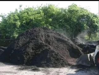 Delivery and installation Kikuyu grass and compost weed free