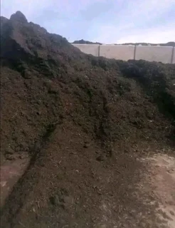 Roll on lawn buffalo grass