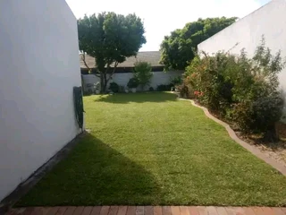 Roll on lawn buffalo grass