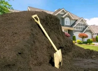 Roll on lawn buffalo grass