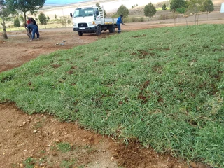 Supply and installa Lm Berea grass and buffalo grass