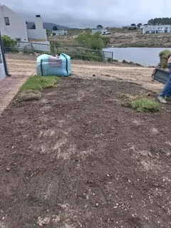 Roll on lawn Kikuyu grass