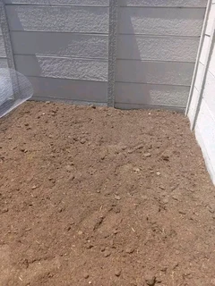 Roll on lawn Kikuyu grass