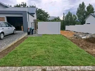 We do sell roll on lawn Lm Berea grass and buffalo grass