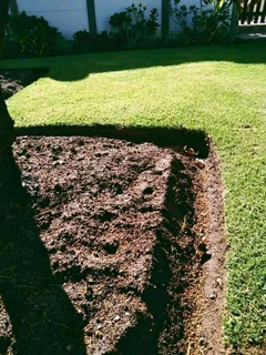 We do sell roll on lawn Lm Berea grass and buffalo grass