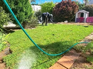 Supply and installa buffalo grass