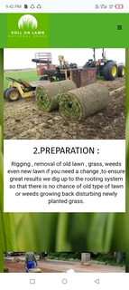 We do supply and installa Lm Berea grass and buffalo grass