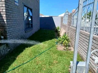 Delivery roll on lawn 100% weed free