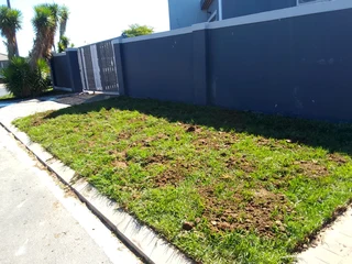 Delivery and installation off national grass
