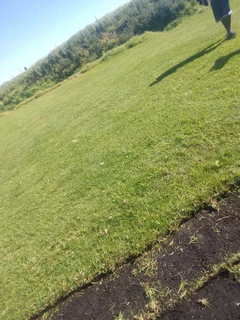 Delivery and installation off national grass