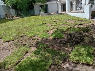 We do roll on lawn national grass fresh and green