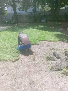 Delivery and installa  buffalo grass