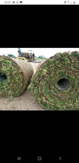 Delivery and installa  buffalo grass