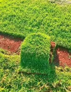 quality installatio of national grass