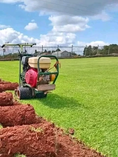 Delivery and installa Lm Berea grass