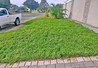 Delivery and installa Lm Berea grass