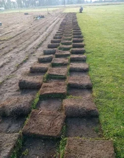 Delivery and installa Lm Berea grass