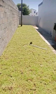 Delivery and installa Lm Berea grass