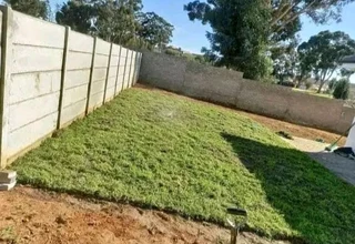 Delivery and installa Lm Berea grass