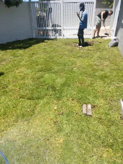 Delivery and installa Lm Berea grass